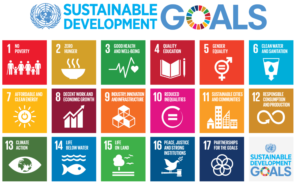 17 sustainable dev goals UN1