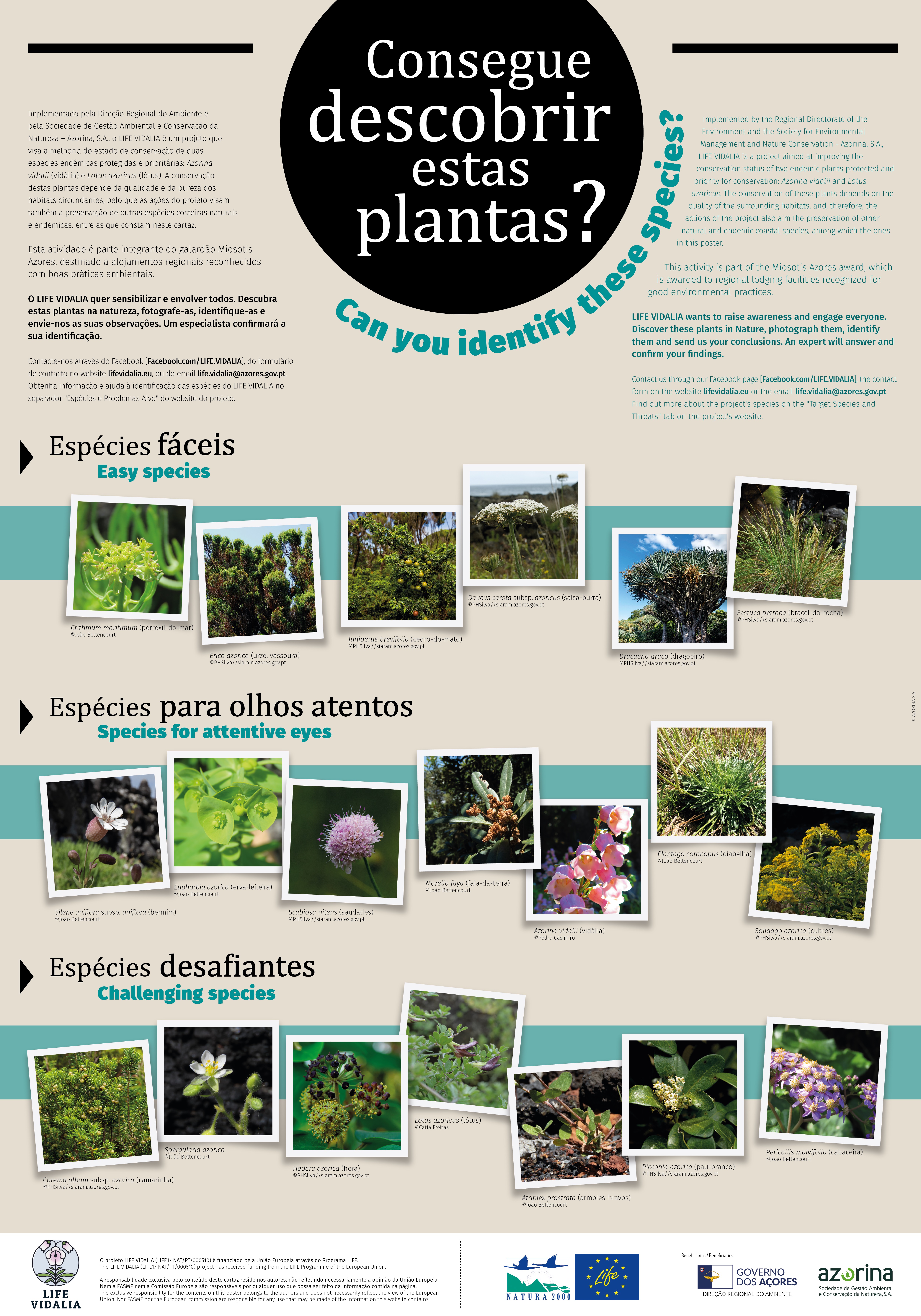 MIOSOTIS challenge - LIFE VIDALIA project